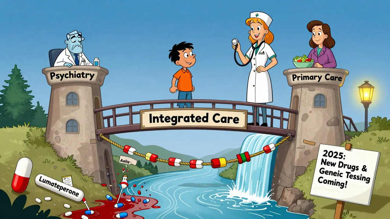 A patient crossing a bridge of health tools between psychiatry and primary care, avoiding a waterfall of metabolic risks.